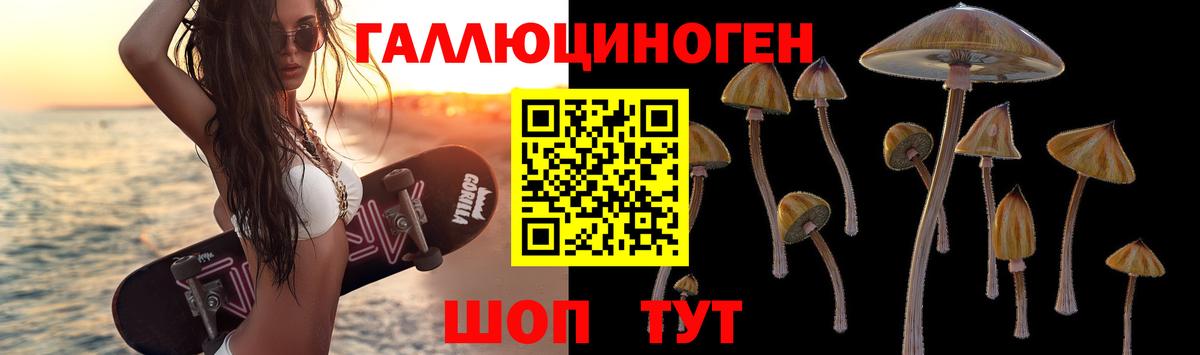 Галлюциногенные грибы Cubensis  Вход с VPN  Комсомольск-на-Амуре 